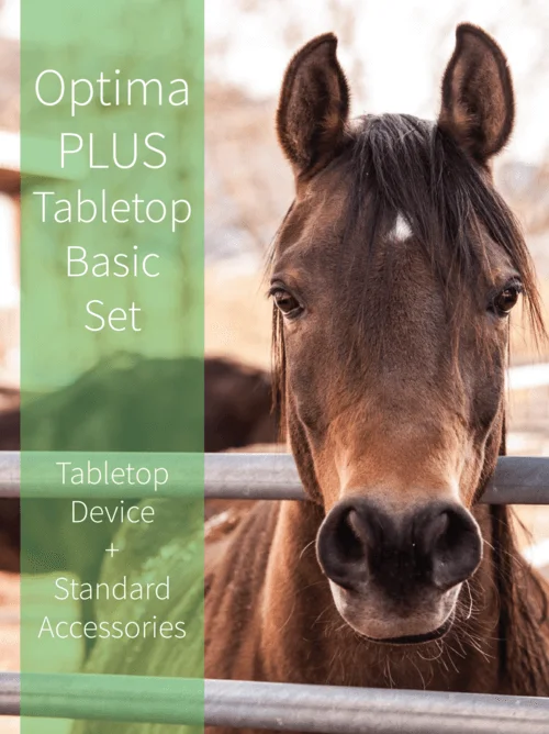 horse Table top Starter Set