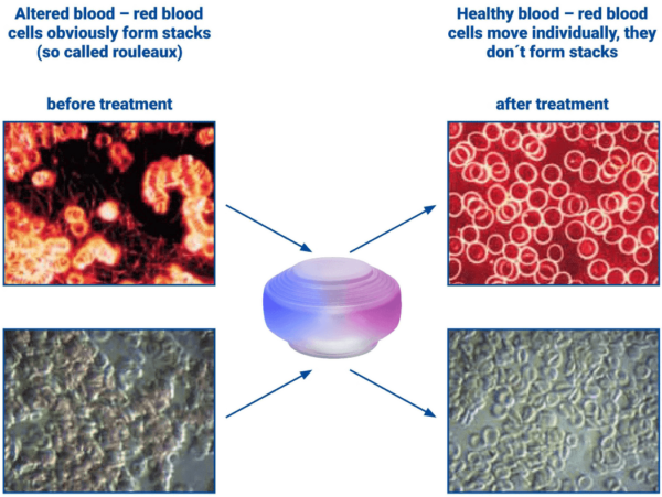 Biocommunication